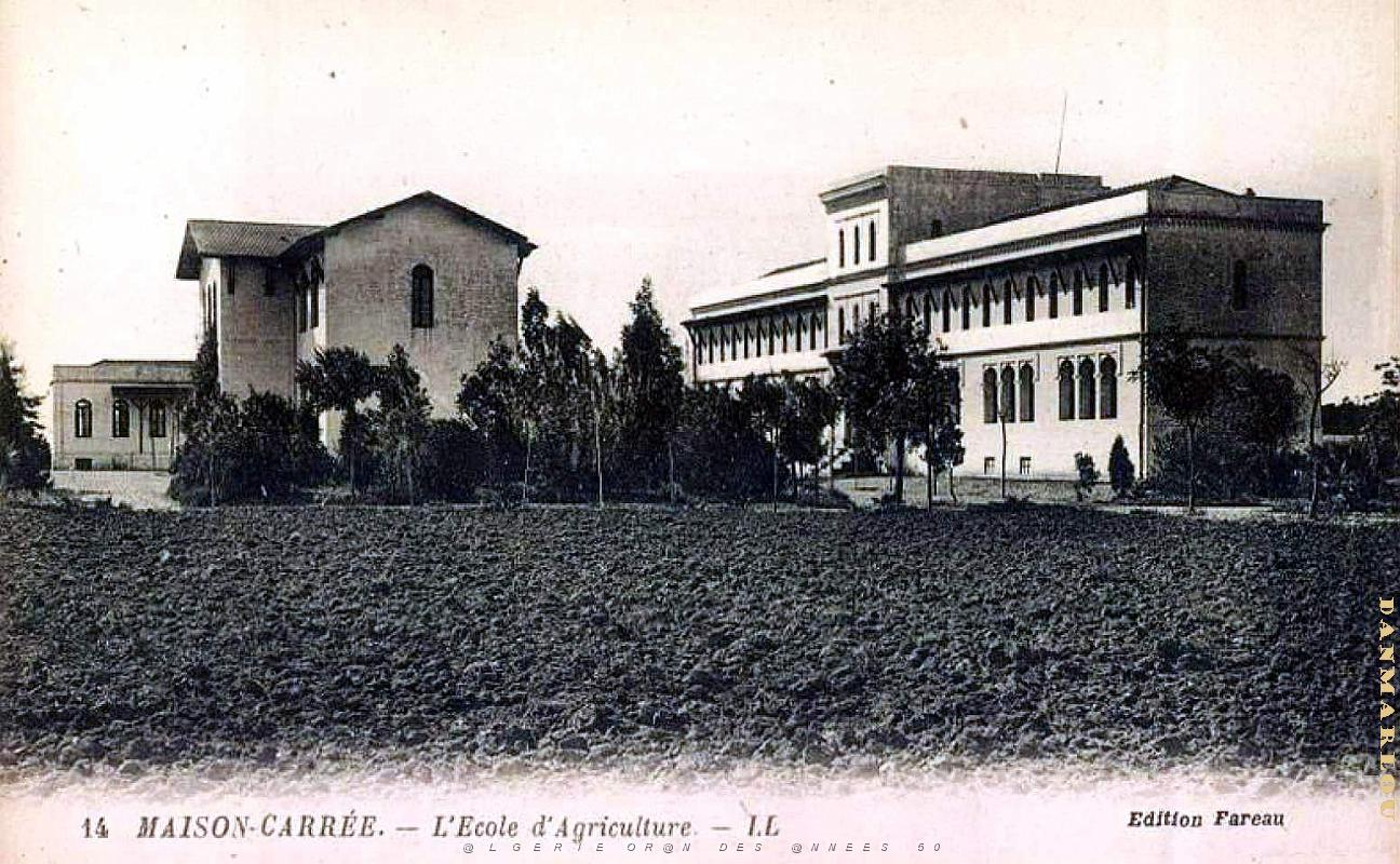 Maison-Carree - Ecole Agriculture.jpg